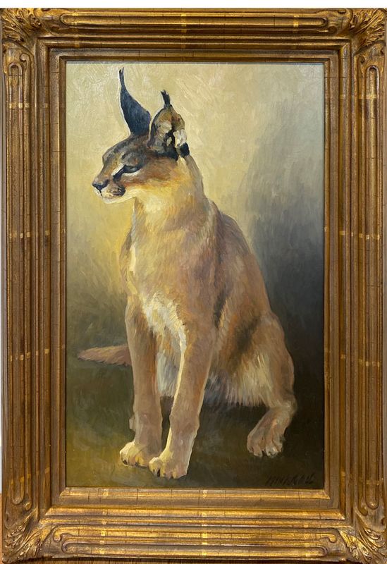 “Caracal Lynx”