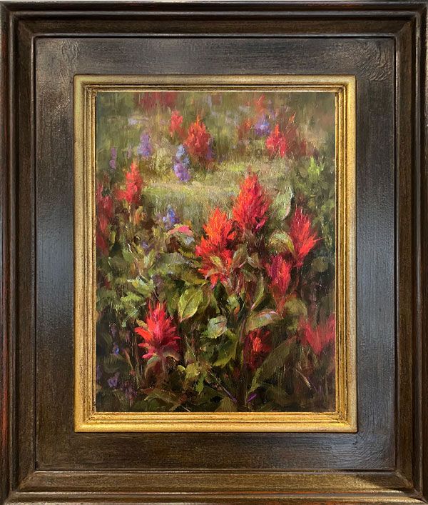 “Indian Paintbrush”