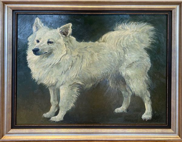 “White Pomeranian” “White Pomeranian”