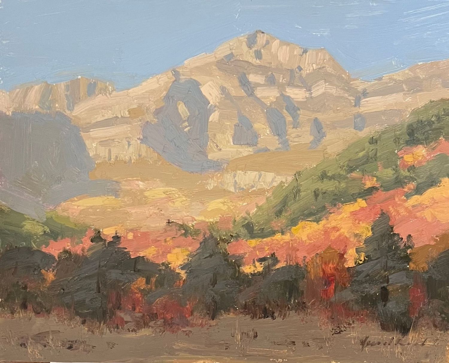 "Back of Timp"