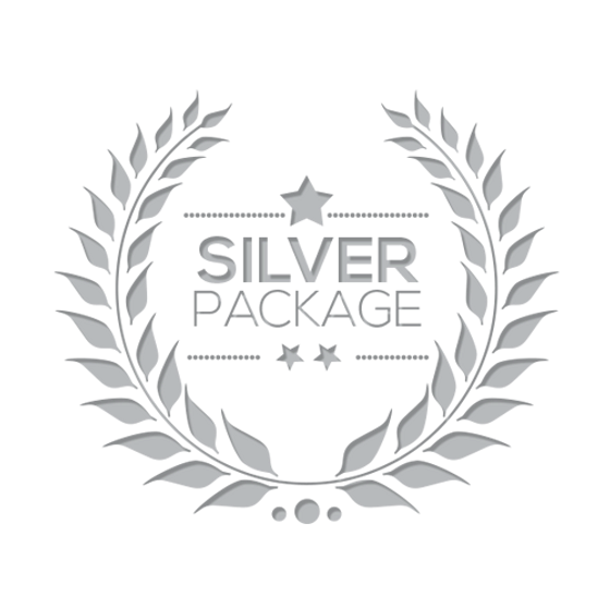 Silver Franchise Package