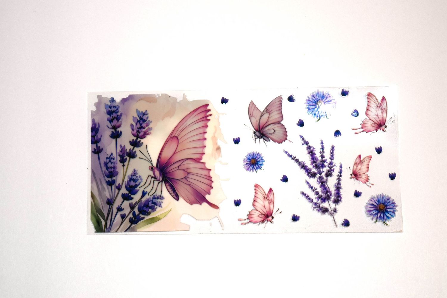 Nature 06