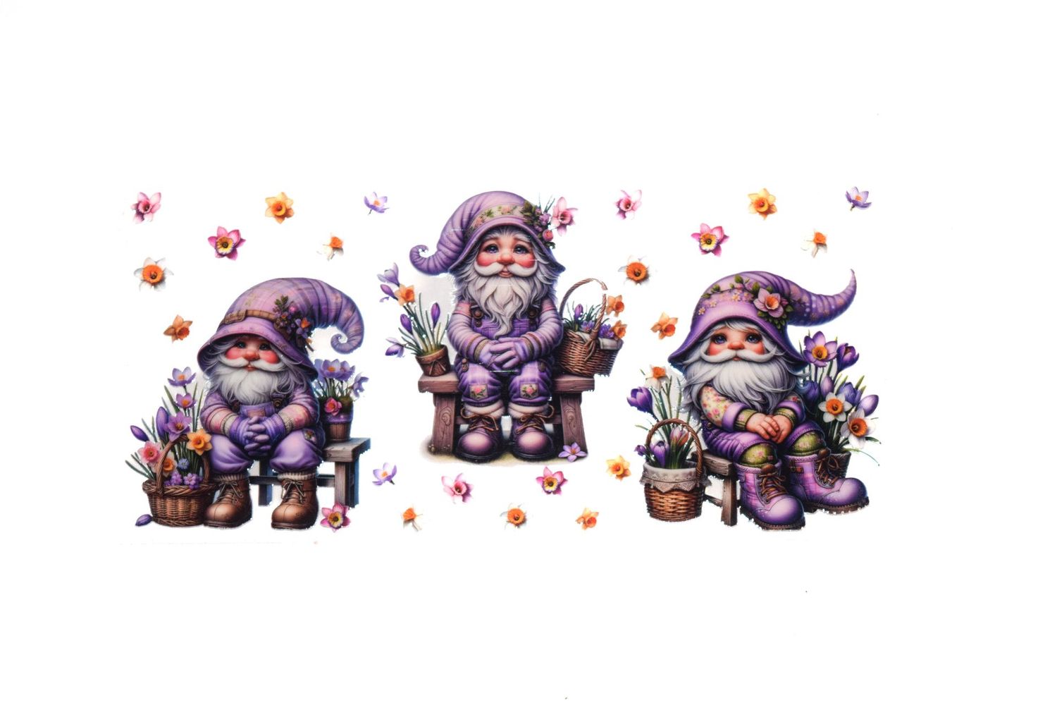 Gnome 01