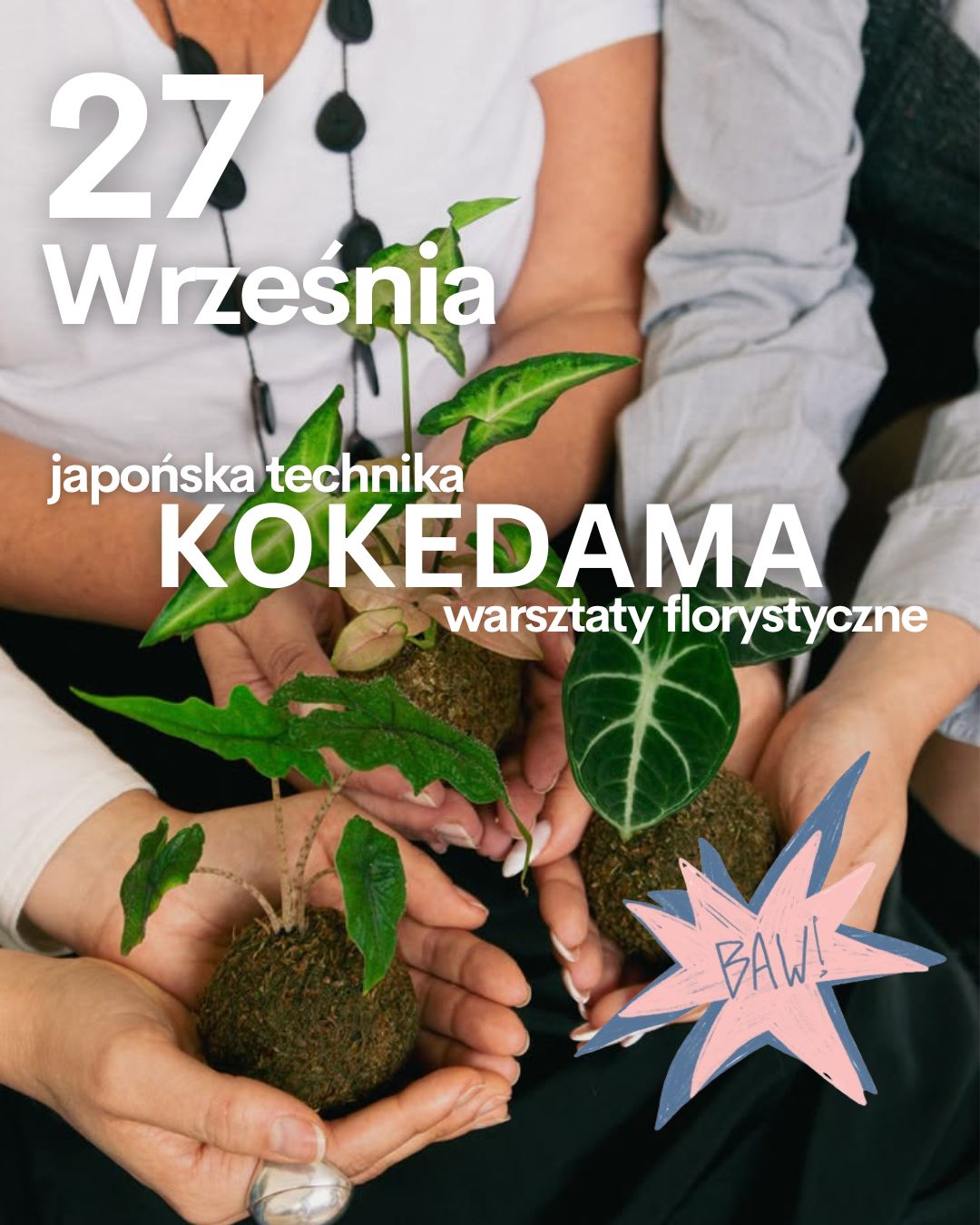 27 Września Kokedama