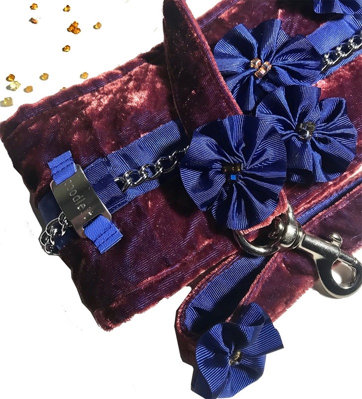 Velvet and Violets