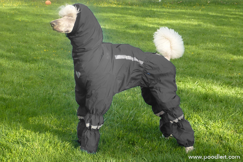 Products — The Ultimate Norway Rain/snow Suit. — Coats for Dogs — poodleit