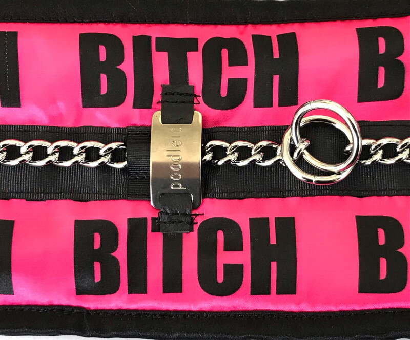 /biCH/ - a female dog