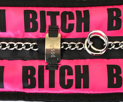 /biCH/ - a female dog