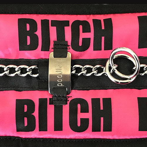 /biCH/ - a female dog, Matching leash: No, thank you