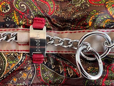 Elegant Paisley
