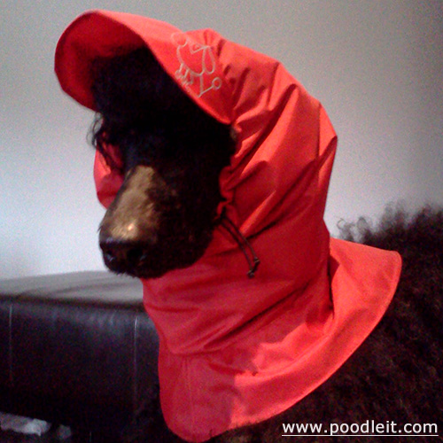 Rain Snood