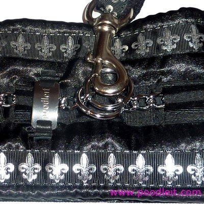 Fleur-de-lis protective collars and leashes.