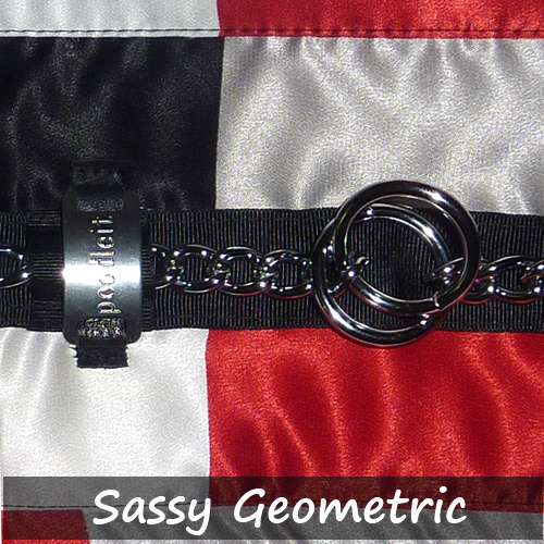 Sassy geometric