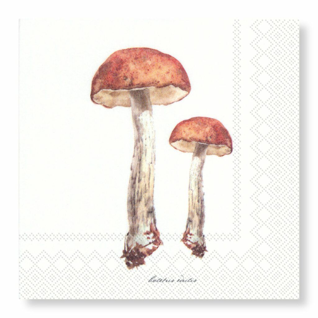 Porcini Napkins – Cocktail