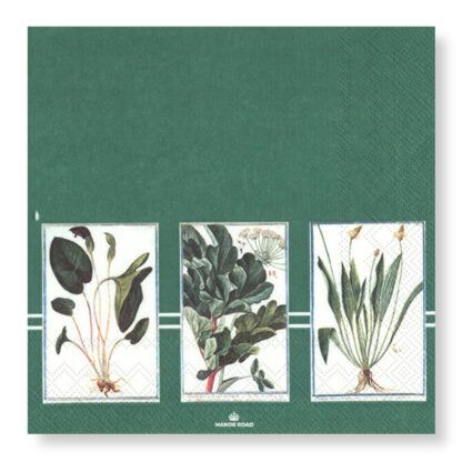 Verde Napkins – Luncheon
