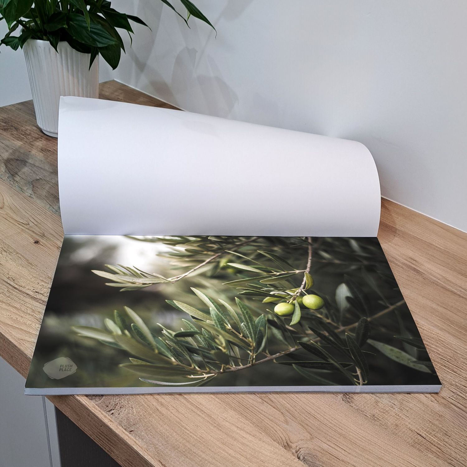 The Olive Branch - Tear-Off Placemat Pad