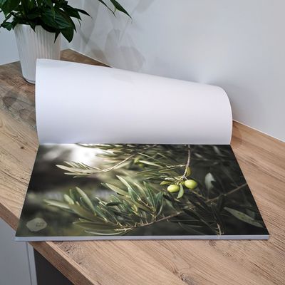 The Olive Branch - Tear-Off Placemat Pad