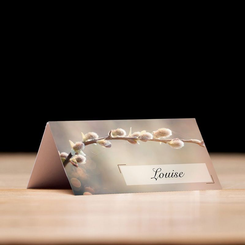 Step Into Spring - Place Card Settings