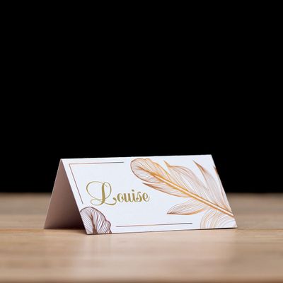 Feather - Place Card Settings