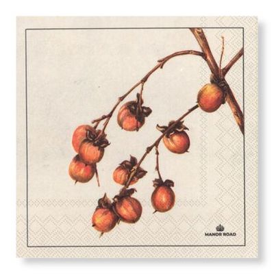 Persimmon Napkins – Luncheon