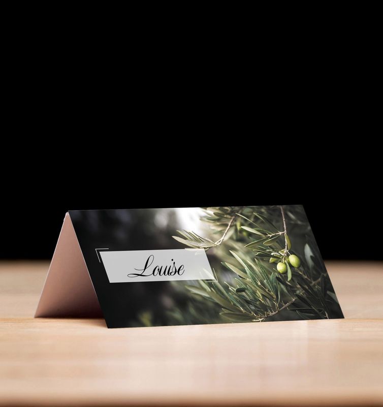 Olive Branch -  Place Card Settings