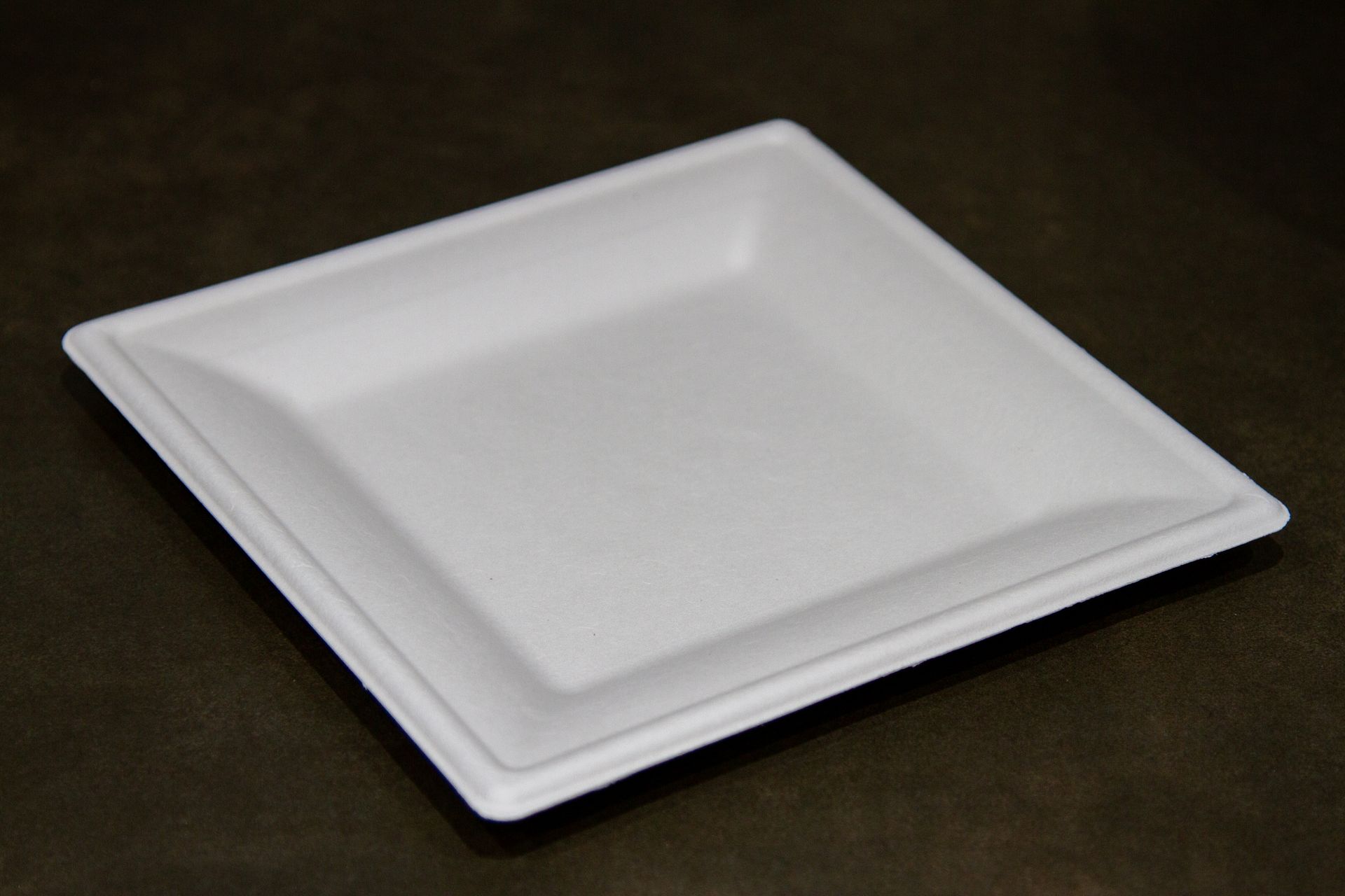 Plush Place Disposable Snack Plates 6