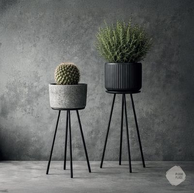 Arida  Tear-Off Placemat Pad (Square)