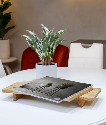 Arida Tear-Off Placemat Pad (Square)
