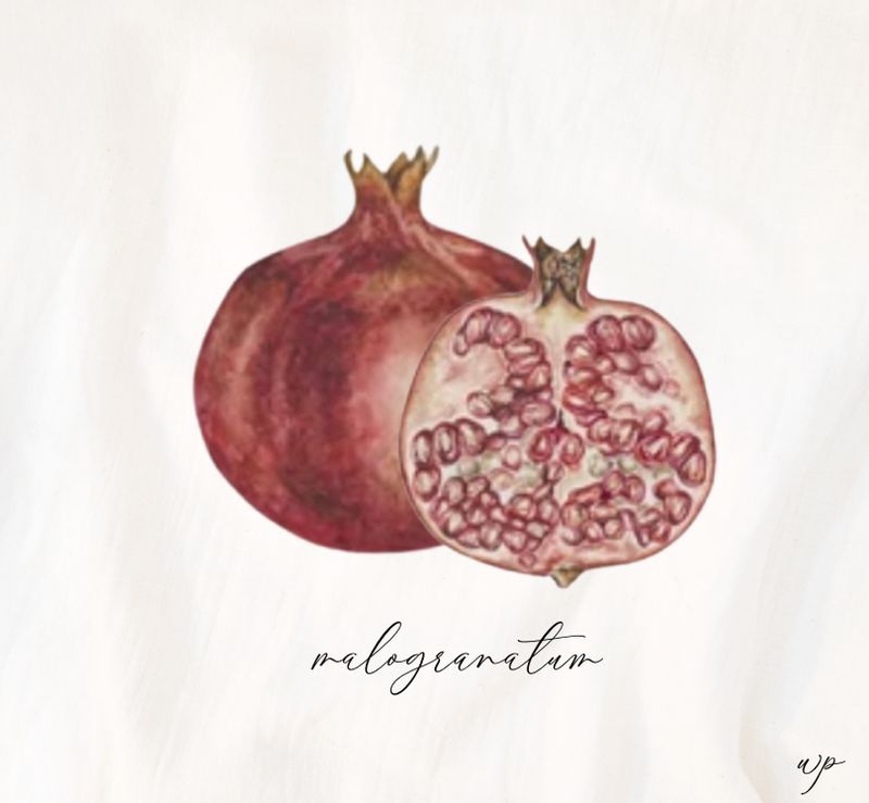 West Park Pomegranate Napkins – Luncheon