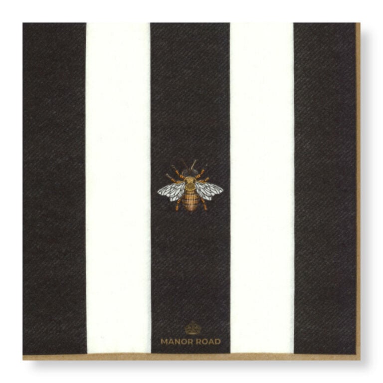 Plush Place Gift Box - The Striped Bee (inc. a set of cheese cards)