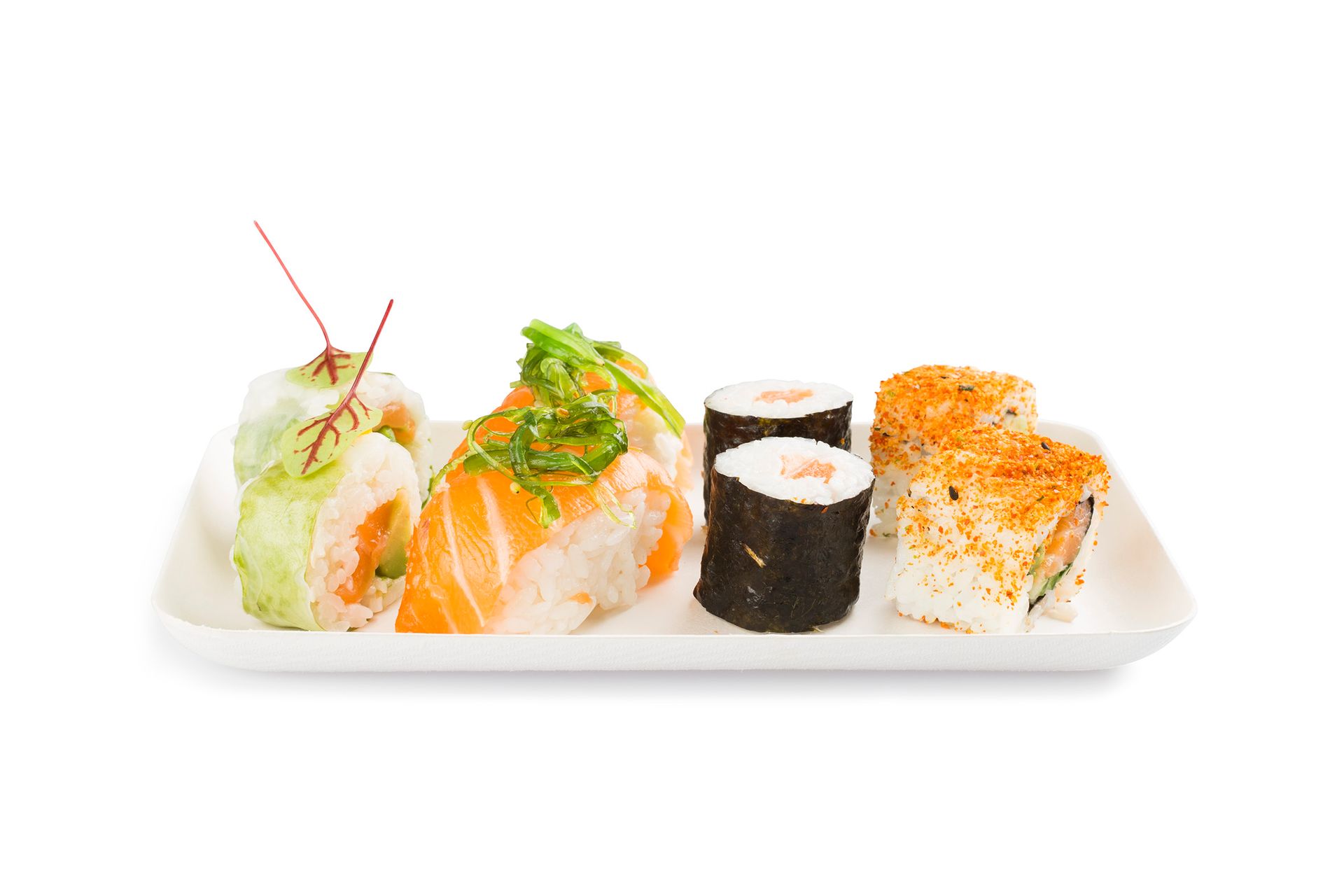 Disposable Bagasse Rectangular Plates 40pk
