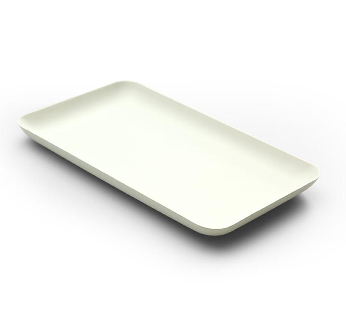 Disposable Bagasse Rectangular Plates 40pk Disposable Bagasse Rectangular Plates 40pk