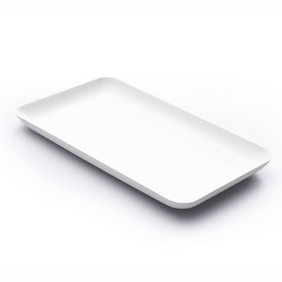 Disposable Bagasse Rectangular Plates 40pk
