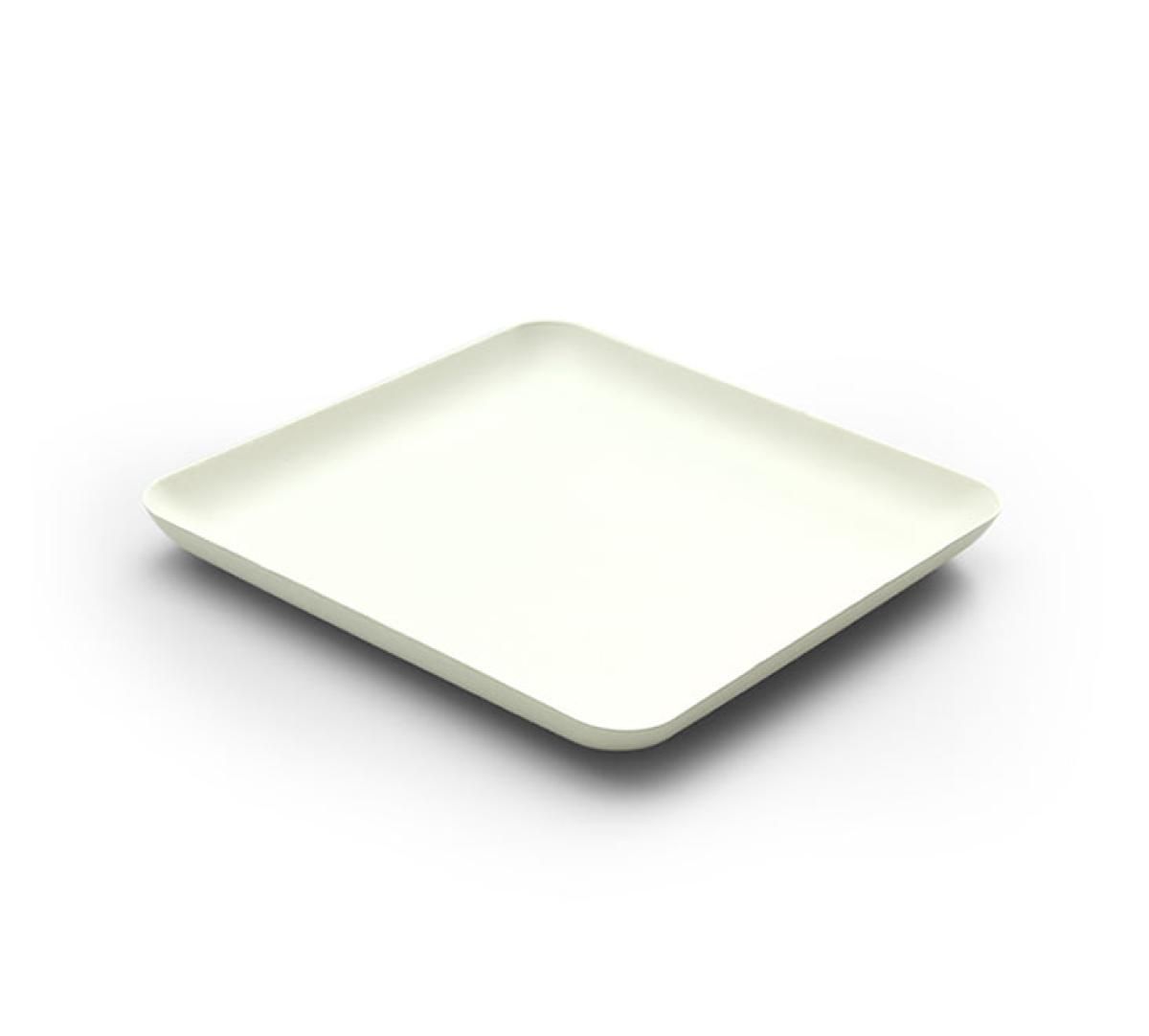 Disposable Bagasse Square Plates 40pk Disposable Bagasse Square Plates 40pk