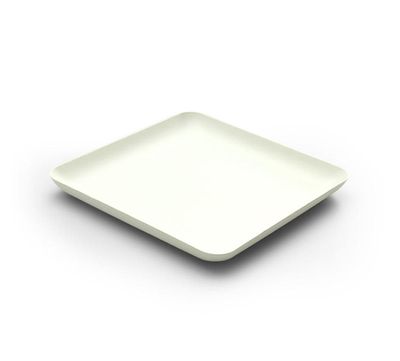 Disposable Bagasse Square Plates 40pk Disposable Bagasse Square Plates 40pk