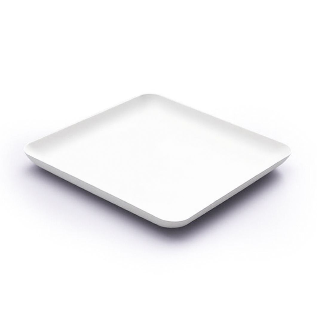 Disposable Bagasse Square Plates 40pk Disposable Bagasse Square Plates 40pk