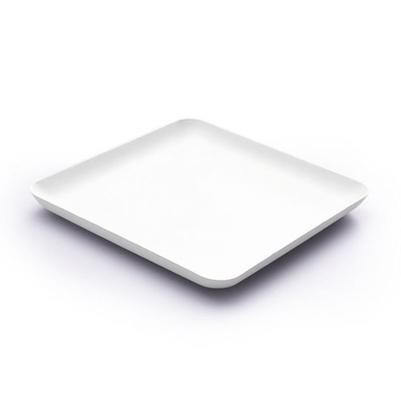 Disposable Bagasse Square Plates 40pk