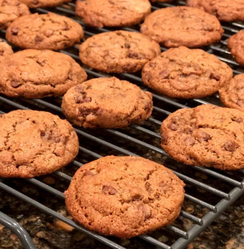 RECIPE Cocoa Cookies