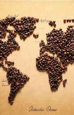 Single Origin