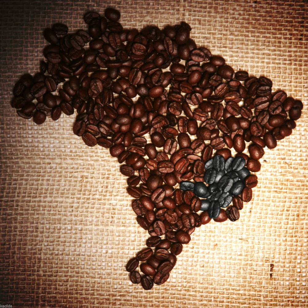 Brazil Cerrado K-Cups