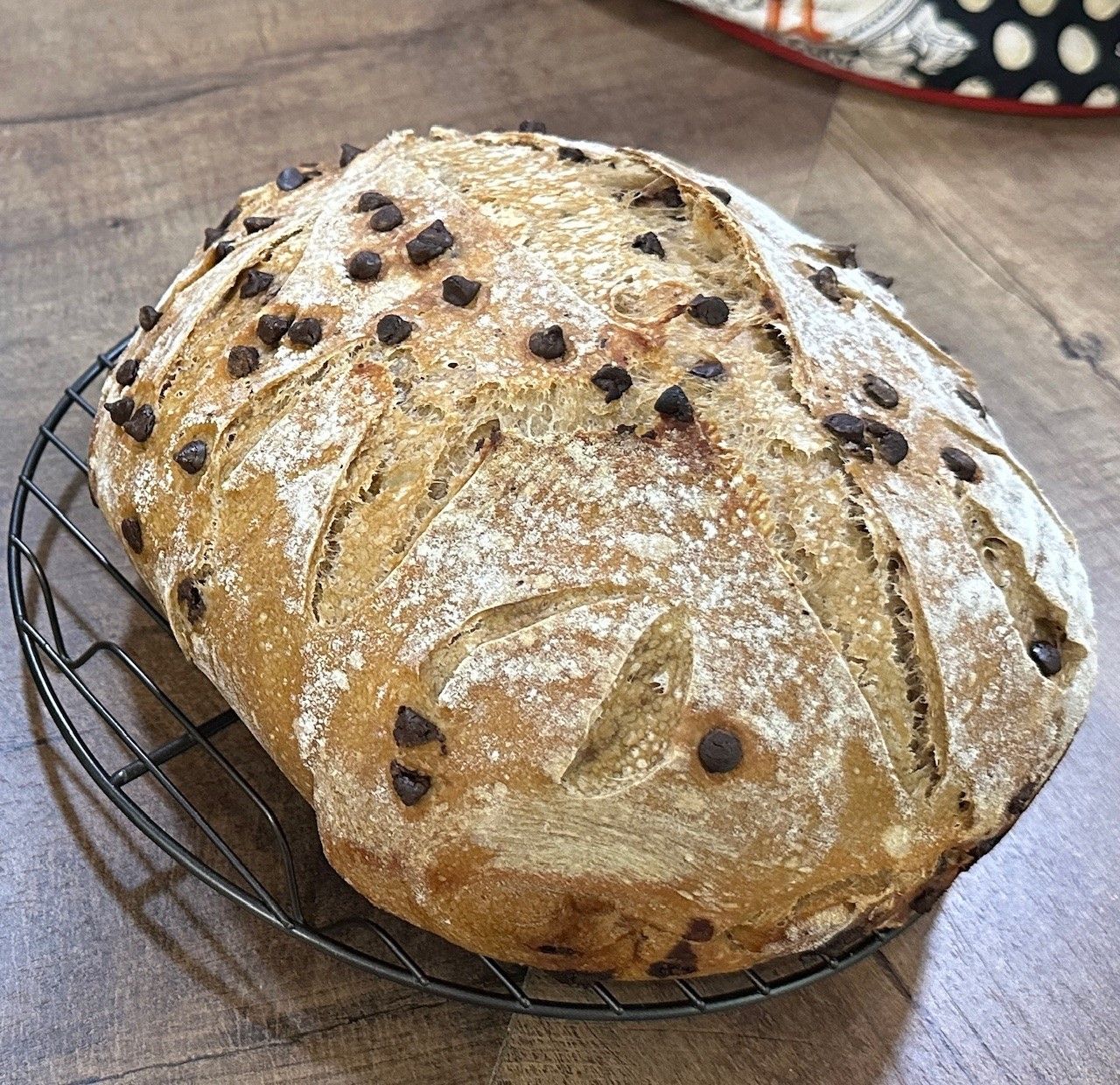 RECIPE Chocolate Chip Espresso Sourdough