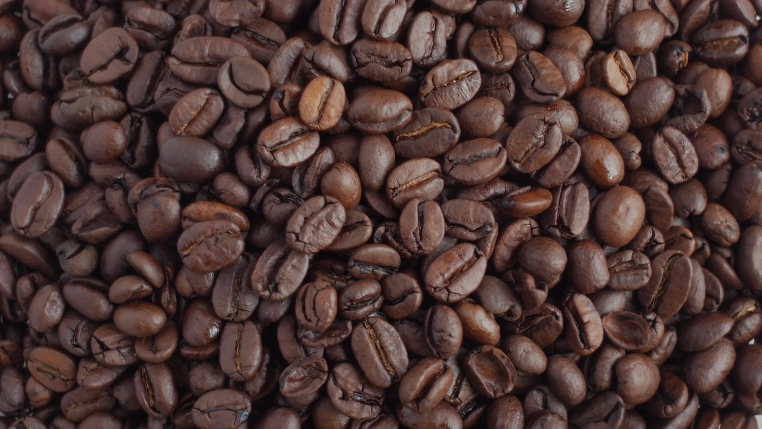 eCoffee Blend Subscription