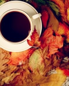 Autumn Harvest Spice Subscription