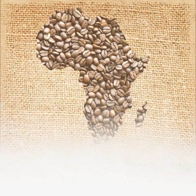 Tanzania Peaberry K-Cups