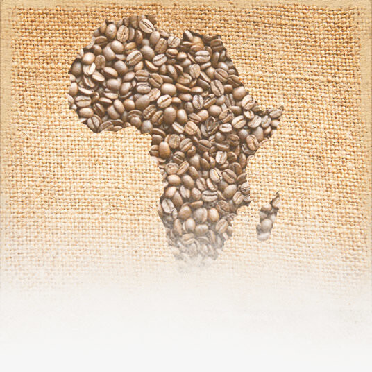 Ethiopia Yirgacheffe K-Cups