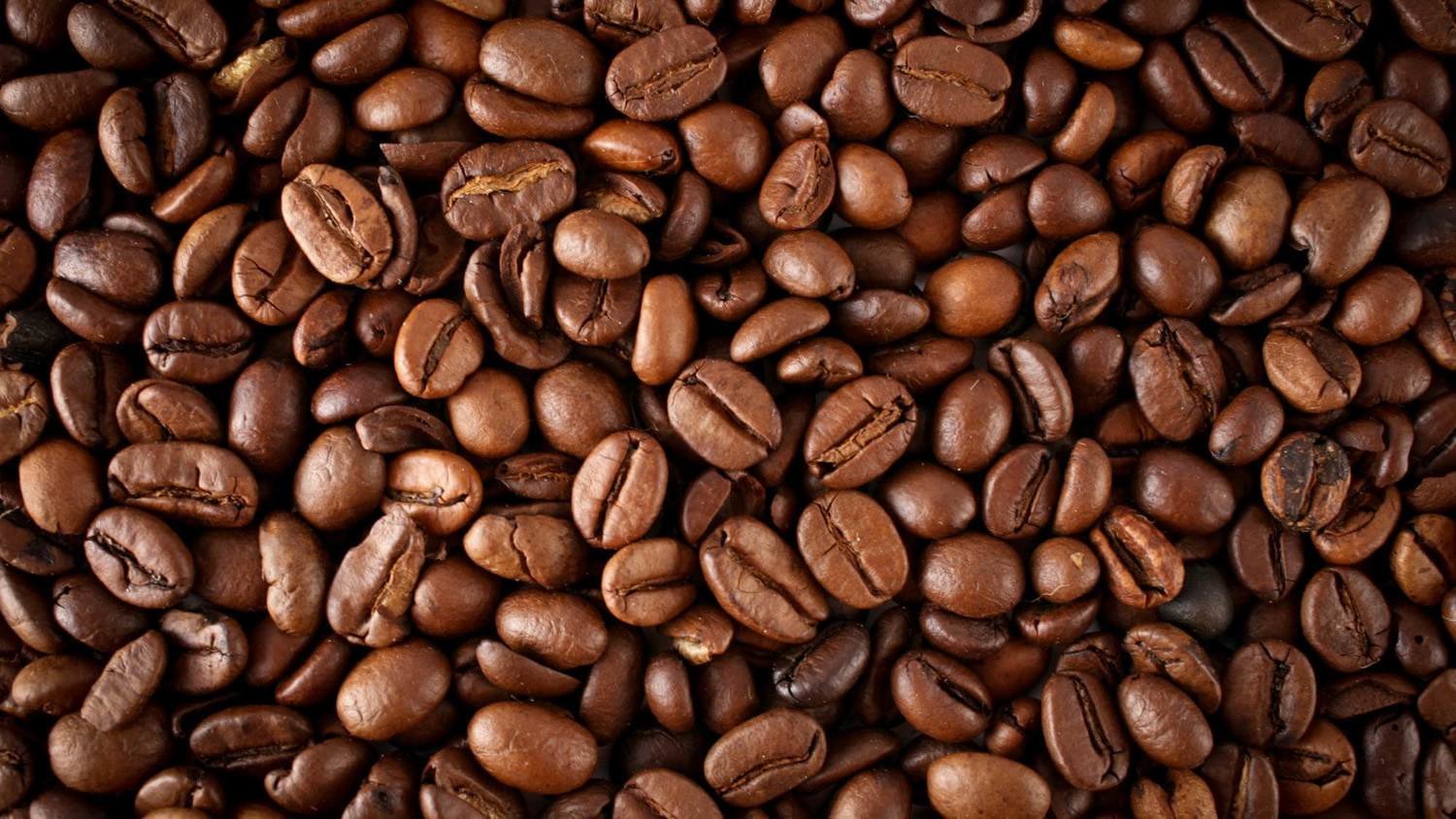 Organic DECAF Swiss Water Peru K-Cups