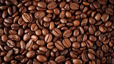 Organic DECAF Swiss Water Peru K-Cups