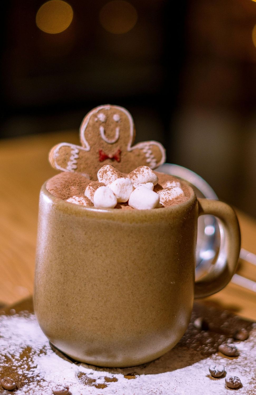 Gingerbread Cocoa
