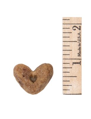 Crunchy Bakery Bites Dog Treats (Breakfast Recipe)