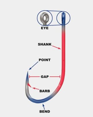 Expain the  Anatomy of a fish hook